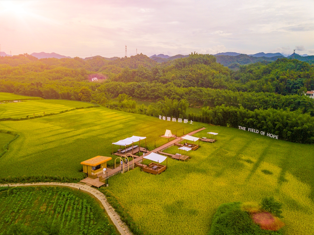 永江村打造的"稻田餐厅" 供图 宜宾市"两海"示范区管委会.jpg